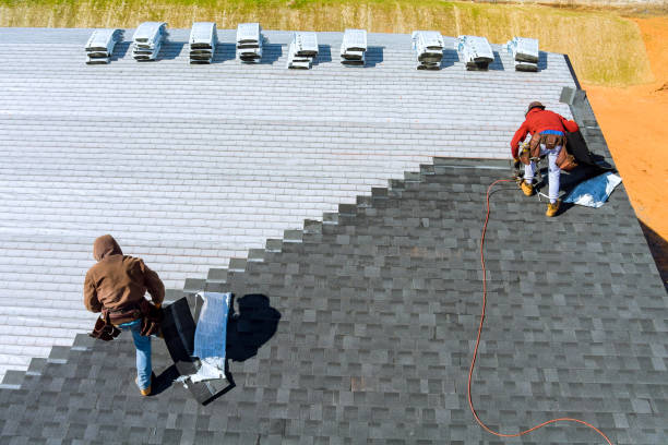 Best Roof Repair Services  in Cambria, IL