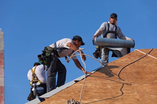 Best Residential Roofing Contractor  in Cambria, IL