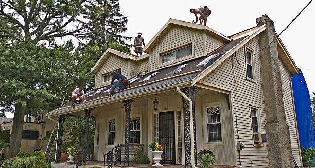 Best Affordable Roofing Company  in Cambria, IL