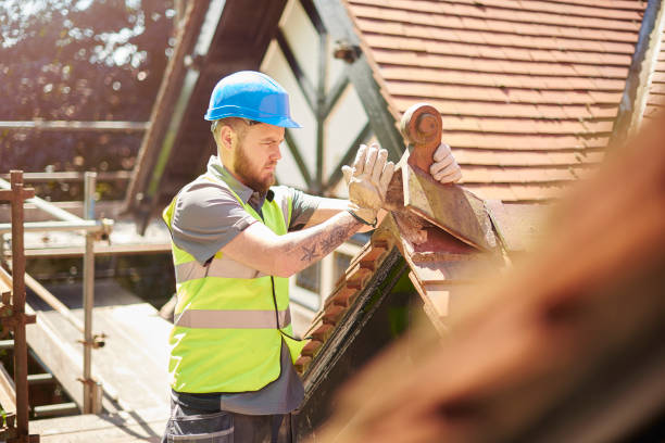 Best Roof Leak Repair  in Cambria, IL