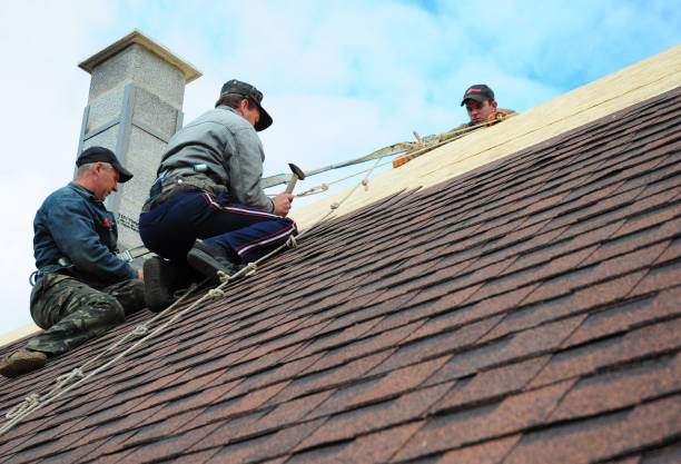Best Sealant for Roof  in Cambria, IL